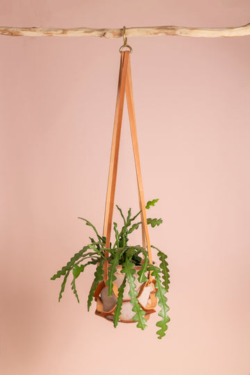 Leather Plant Pot Holder - CLAY