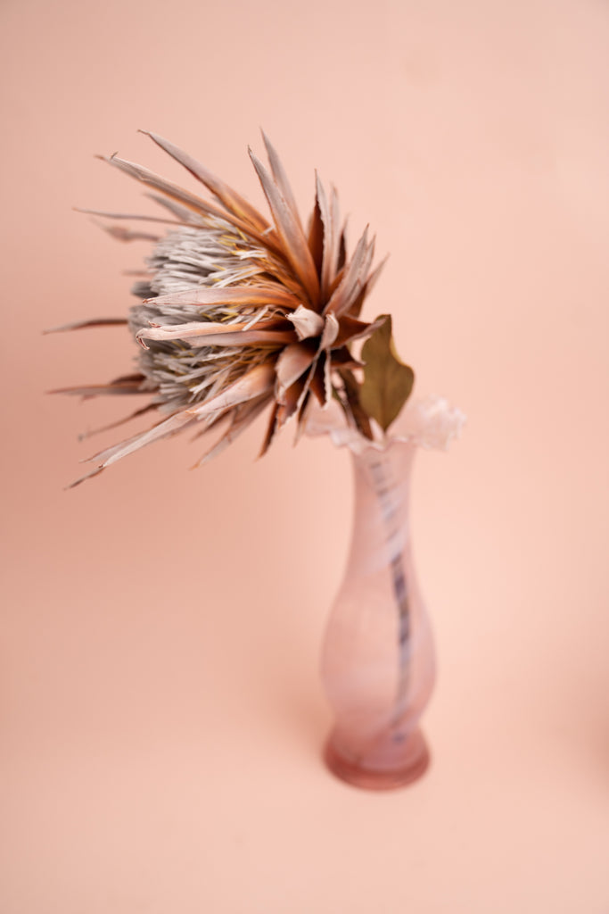 Dried King Protea